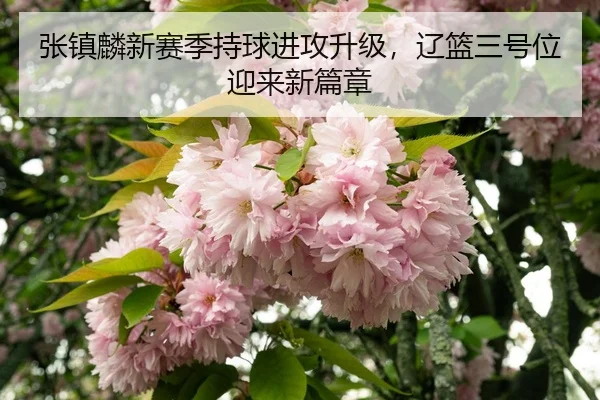 zhang-zhen-lin-xin-sai-ji-chi-qiu-jin-gong-sheng-ji-liao-lan-san-hao-wei-ying-lai-xin-pian-zhang-3-825.jpg