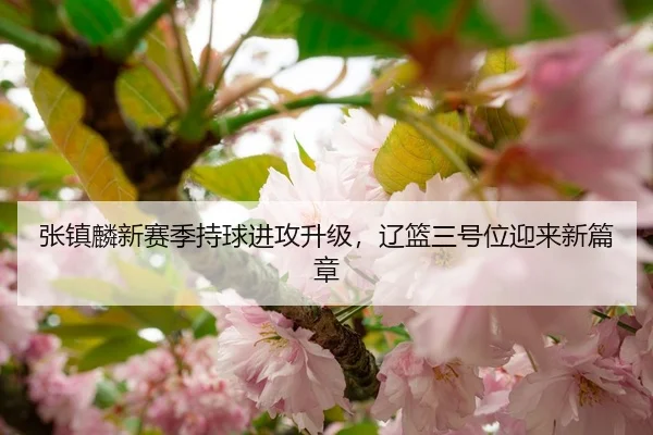 张镇麟新赛季持球进攻升级，辽篮三号位迎来新篇章