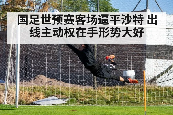 goalkeeper save football